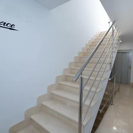Mombasa 2 Planta