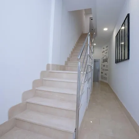 Mombasa 2 Planta